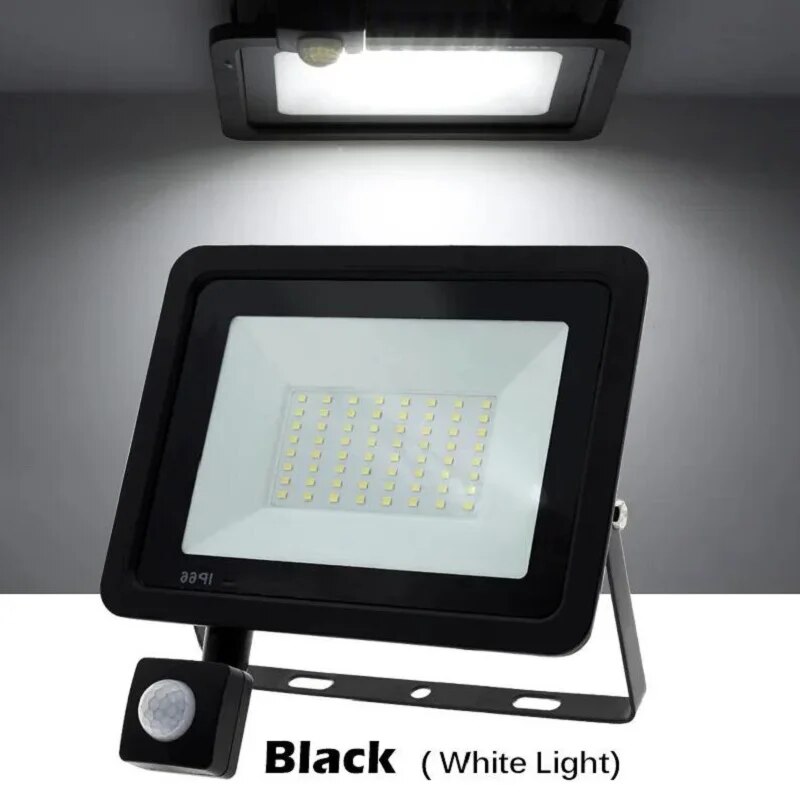 PIR Motion Sensor LED Floodlig - Outdoor Lighting With Outlet 评论和价格