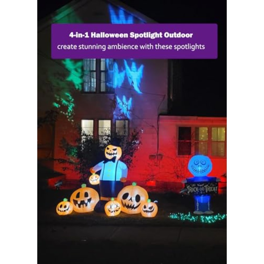 Spotlight Outdoor for Hallowee - Outdoor Lighting Kit With Transformer 评论和价格